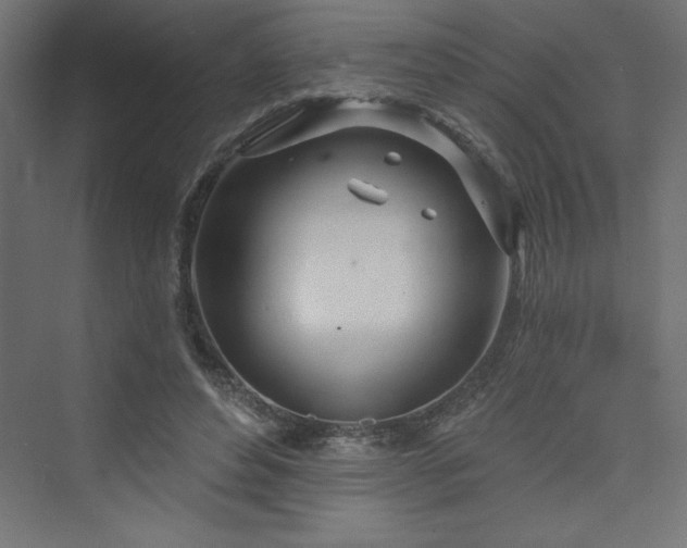 X0000073990496200608211352