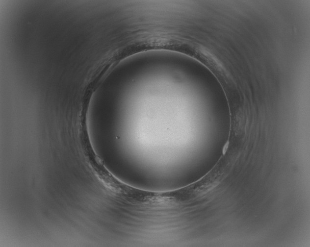 X0000073990497200608211352