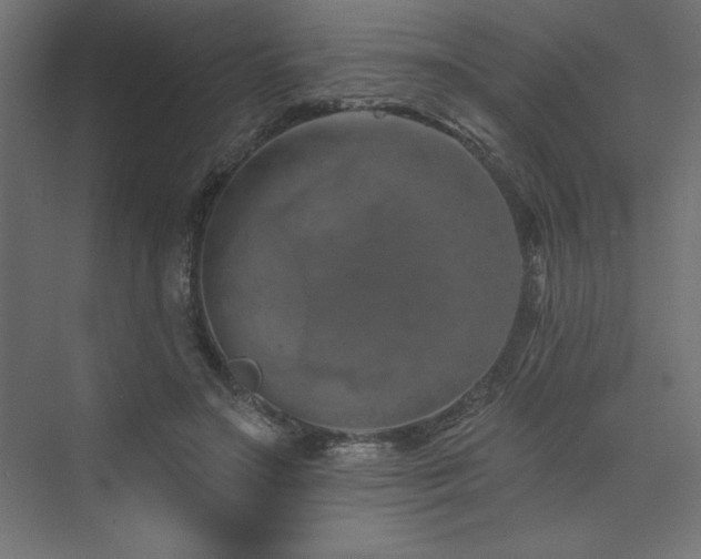 X0000073990499200608211351