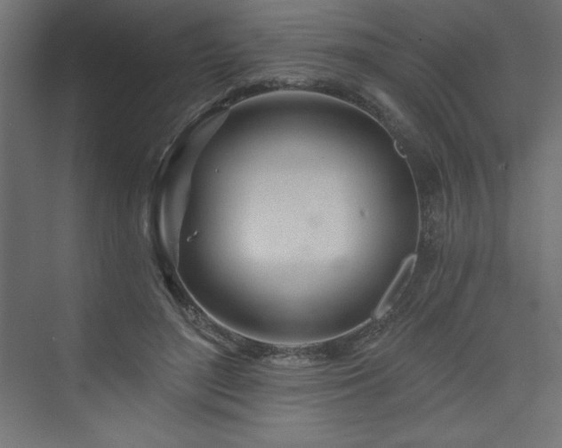 X0000073990500200608211351