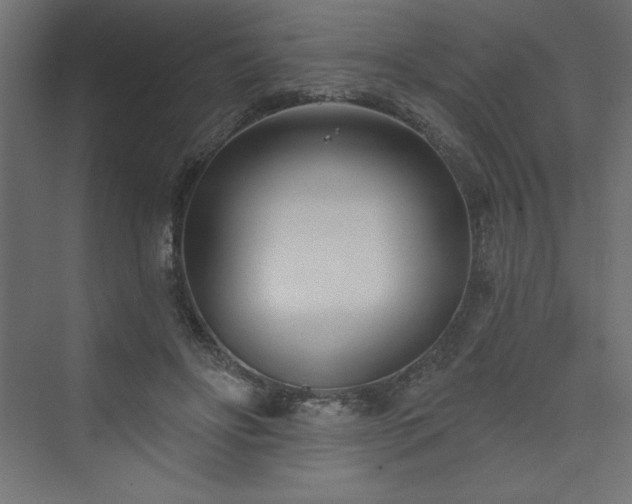 X0000073990502200608211351