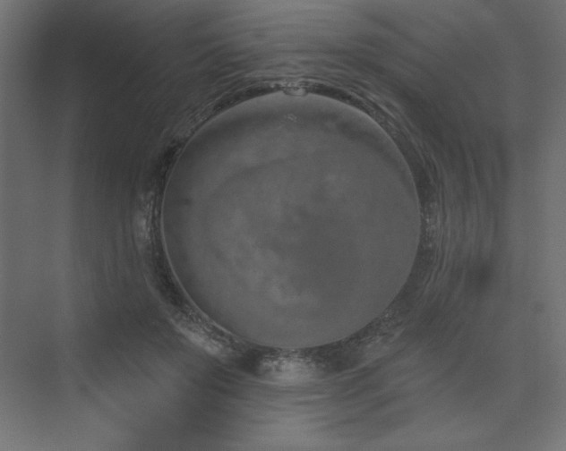 X0000073990503200608211351