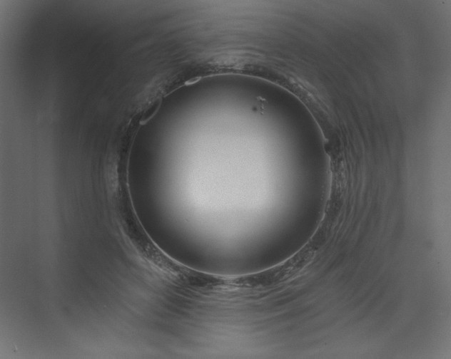 X0000073990504200608211351