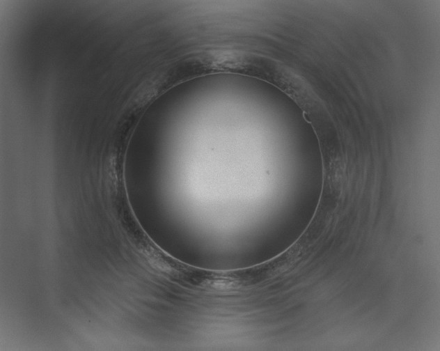 X0000073990506200608211351