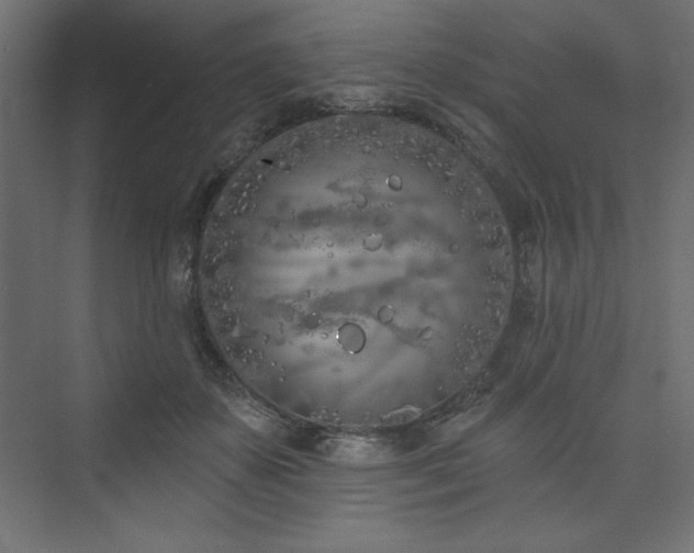 X0000073990507200608211351