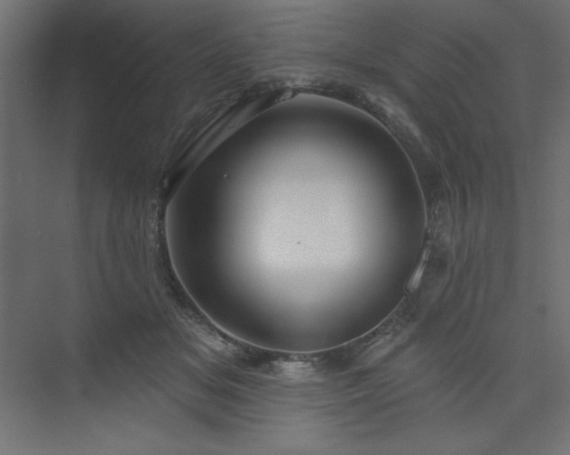 X0000073990509200608211351