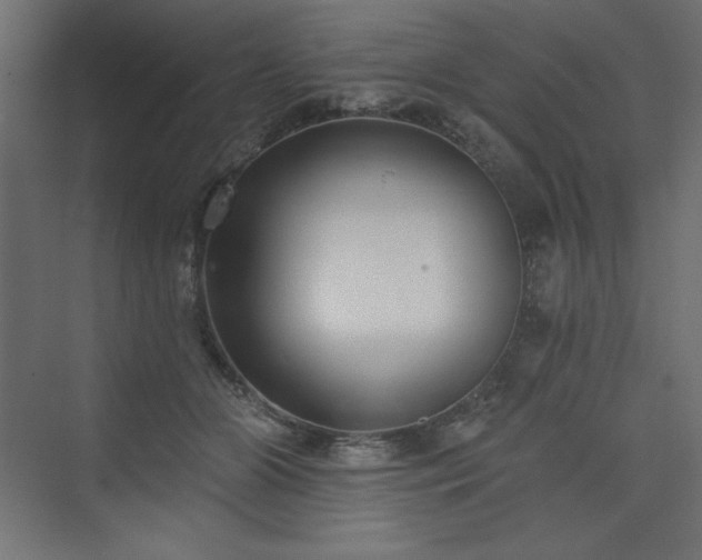 X0000073990510200608211351