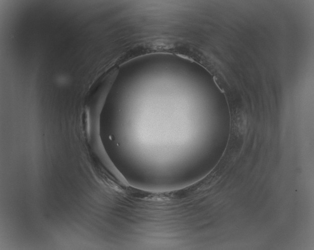 X0000073990512200608211351