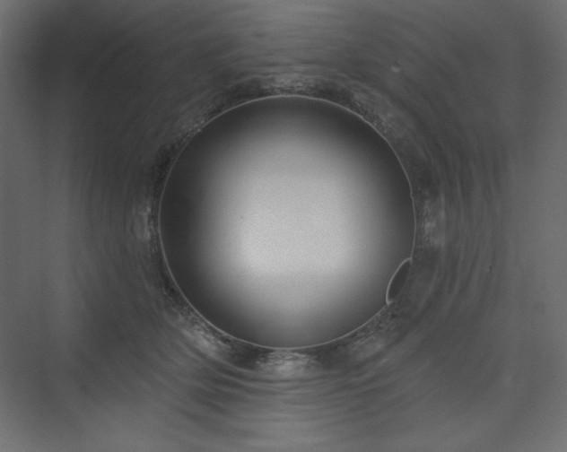 X0000073990514200608211351