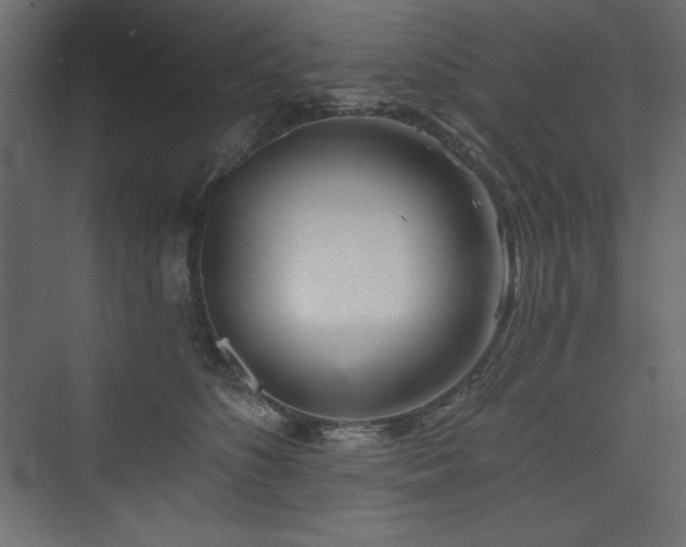 X0000073990516200608211351