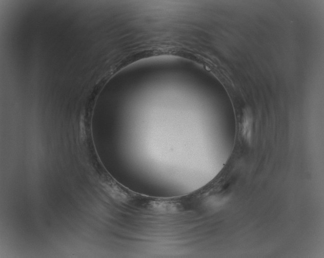 X0000073990520200608211351