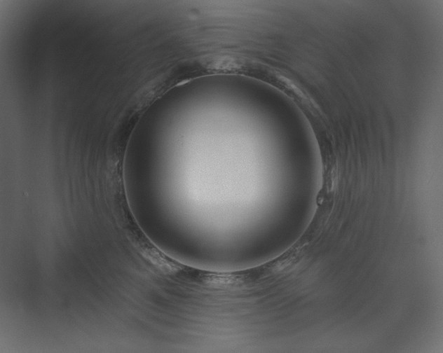 X0000073990521200608211351