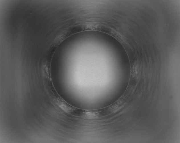 X0000073990522200608211351