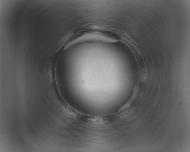 X0000073990524200608211351