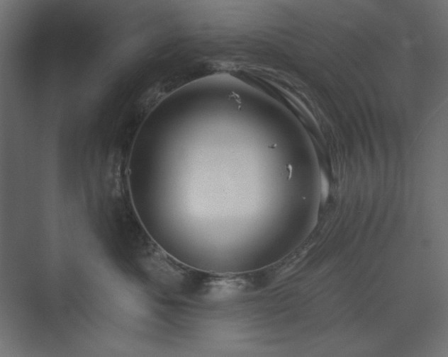 X0000073990525200608211351