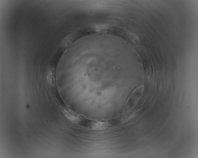 X0000073990527200608211351