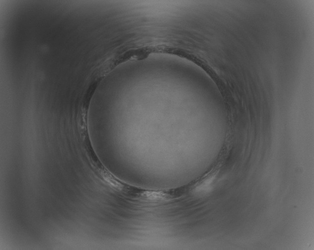 X0000073990528200608211351