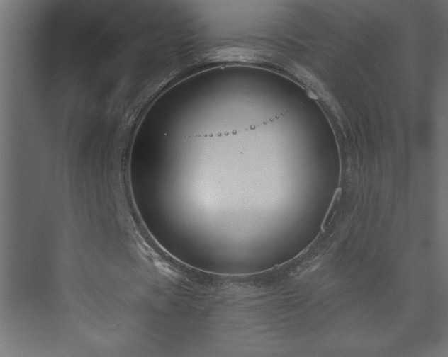 X0000073990529200608211350