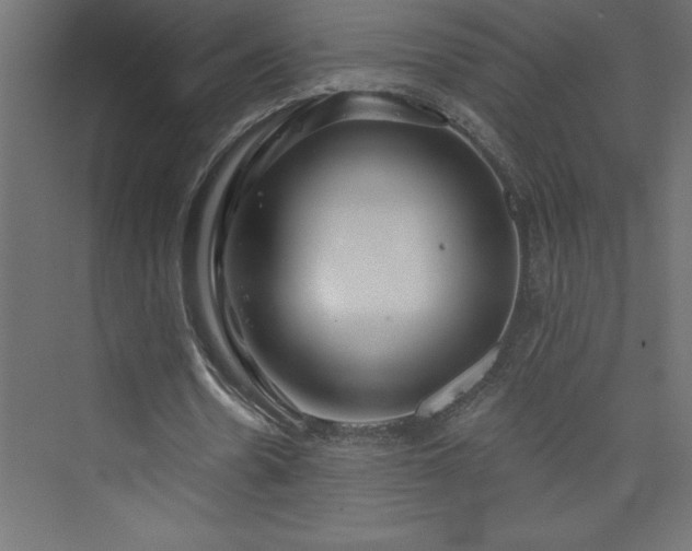 X0000073990530200608211350