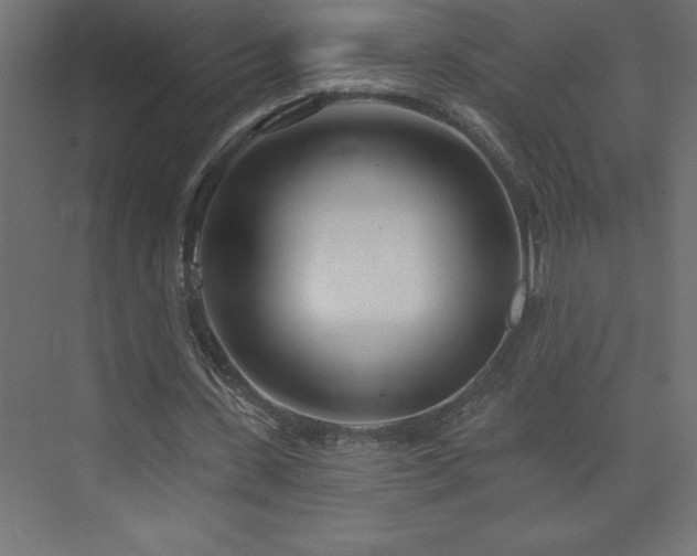 X0000073990531200608211350