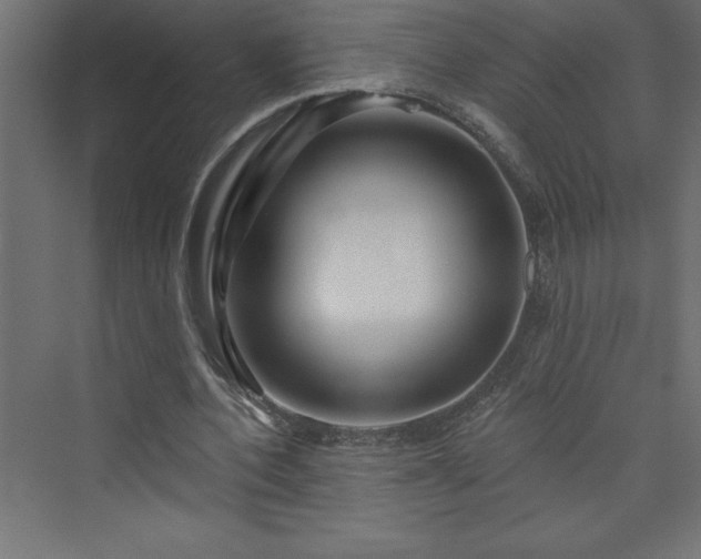 X0000073990532200608211350