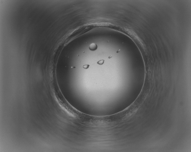 X0000073990533200608211350