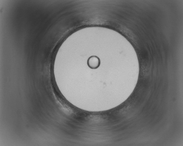 X0000073990534200608211350