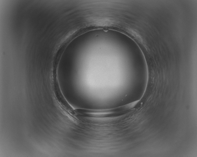 X0000073990535200608211350