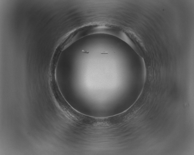 X0000073990536200608211350