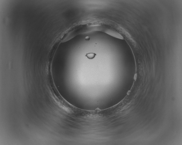 X0000073990537200608211350