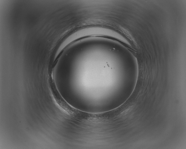 X0000073990538200608211350