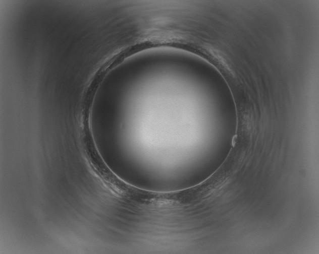 X0000073990539200608211350