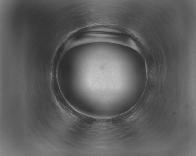 X0000073990540200608211350