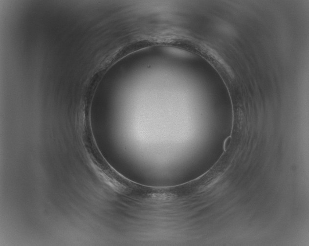 X0000073990541200608211350