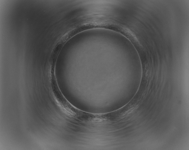 X0000073990542200608211350