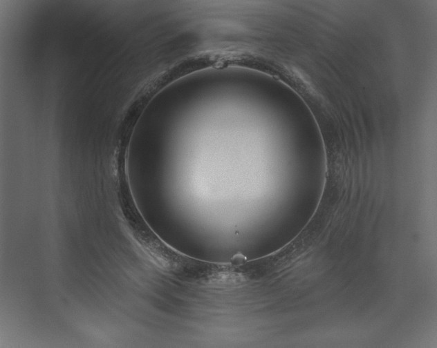 X0000073990543200608211350