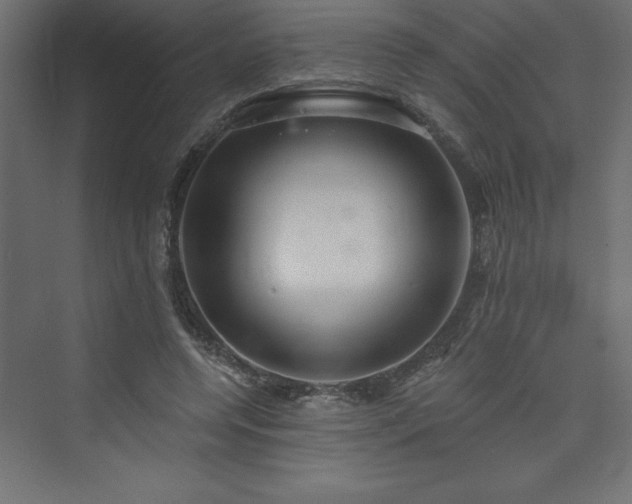 X0000073990544200608211350