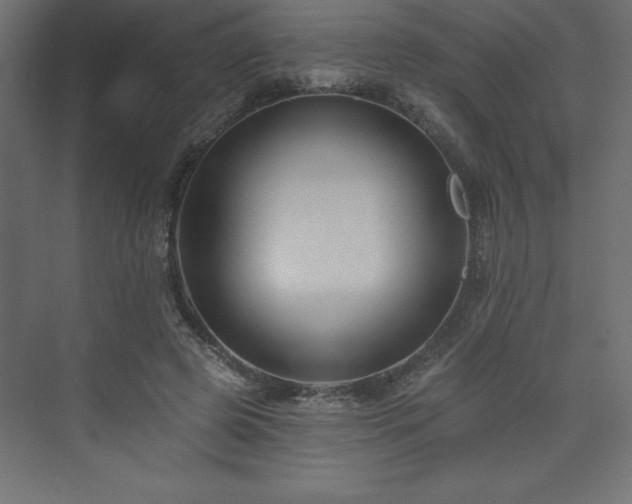 X0000073990545200608211350