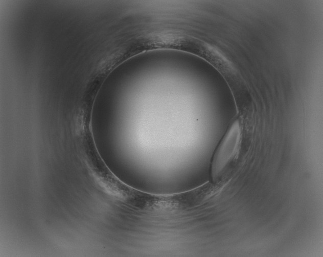 X0000073990546200608211350