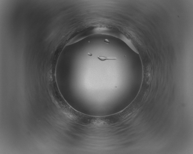 X0000073990547200608211350