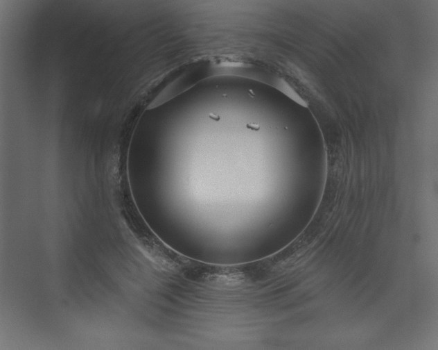 X0000073990548200608211350