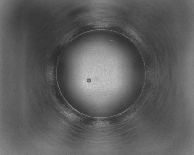 X0000073990549200608211351