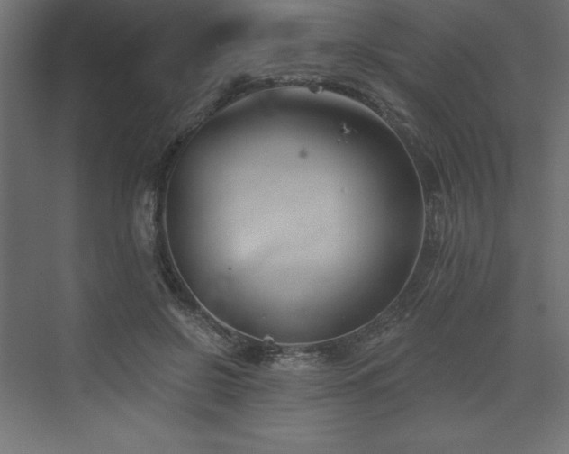 X0000073990550200608211351