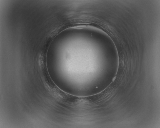 X0000073990551200608211351