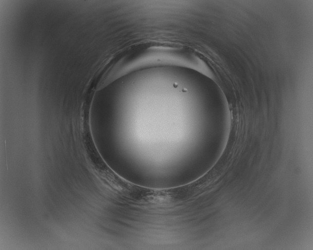 X0000073990552200608211351