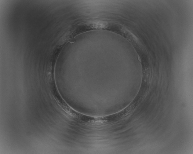 X0000073990553200608211351