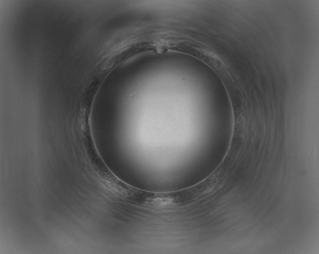 X0000073990554200608211351