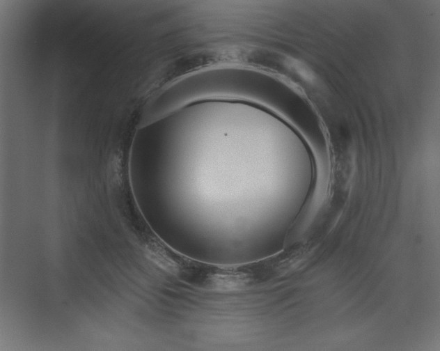 X0000073990556200608211351