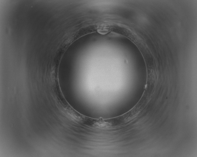 X0000073990557200608211351