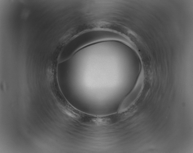 X0000073990558200608211351